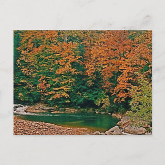 Carte Postale Trout Stream, Virginie-Occidentale