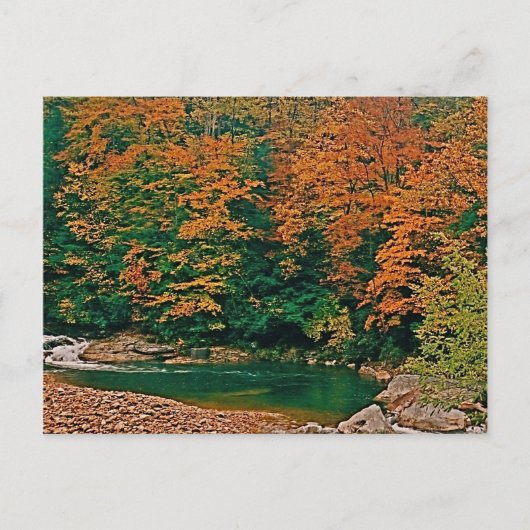 Carte Postale Trout Stream, Virginie-Occidentale (Devant)