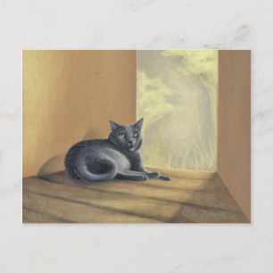 Carte Postale Trouvé Dans La Nature