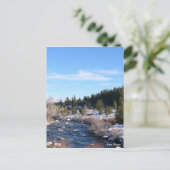 Carte Postale Truckee (Debout devant)