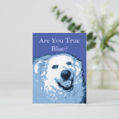 Carte postale True Blue Dog Democrat (Debout devant)