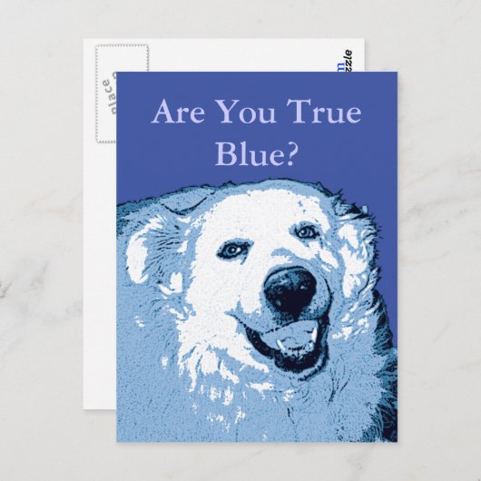 Carte postale True Blue Dog Democrat (Devant / Derrière)