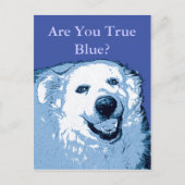 Carte postale True Blue Dog Democrat (Devant)