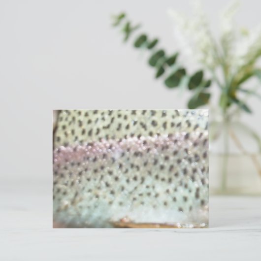 Carte Postale Truite arc-en-ciel (Debout devant)