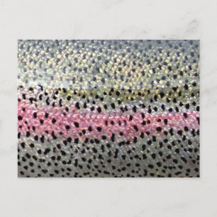 Carte Postale Truite arc-en-ciel par PatternWear©