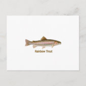 Carte Postale Truite arc-en-ciel (titre) (Devant)