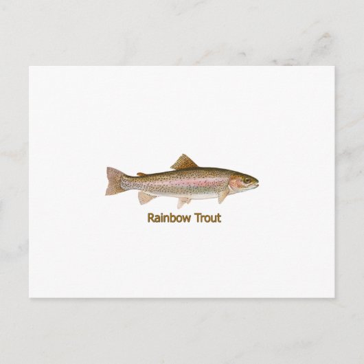 Carte Postale Truite arc-en-ciel (titre) (Devant)