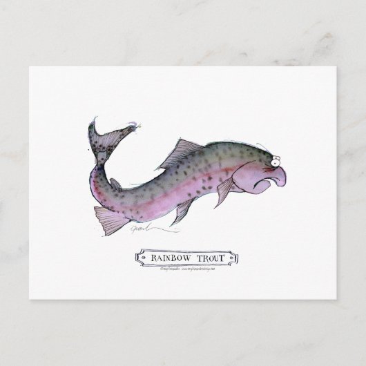 Carte Postale Truite arc-en-ciel, tonus fernandes (Devant)