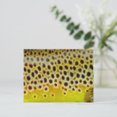Carte Postale Truite Brown par PatternWear© (Debout devant)