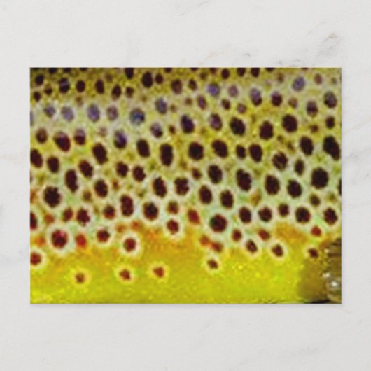 Carte Postale Truite Brown par PatternWear© (Devant)
