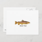 Carte Postale Truite Brown (titre) (Devant / Derrière)