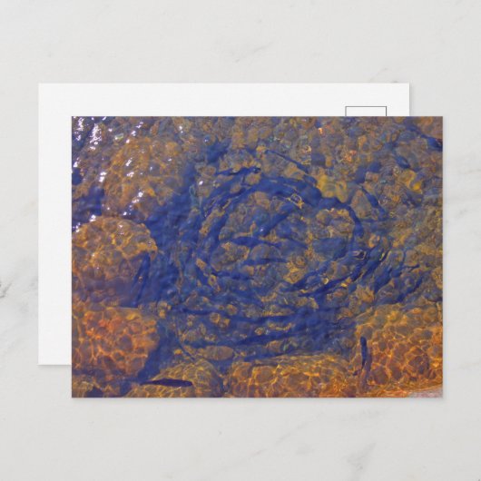 Carte Postale Truite dans une balle serrée dans un étang, Charle (Devant / Derrière)