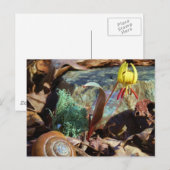 Carte Postale Truite jaune et prune Lily et Coquille d'escargot (Devant / Derrière)