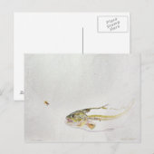 Carte Postale Truites pourchassant la mouche d'un pêcheur (Devant / Derrière)