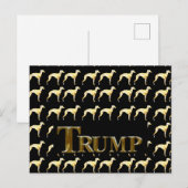 CARTE POSTALE TRUMP 2024 (Devant / Derrière)