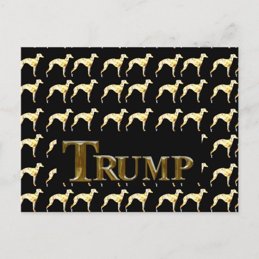 CARTE POSTALE TRUMP 2024 (Devant)
