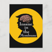 Carte postale Trump/fou (Devant)