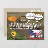 Carte Postale Trump gagne (Devant / Derrière)