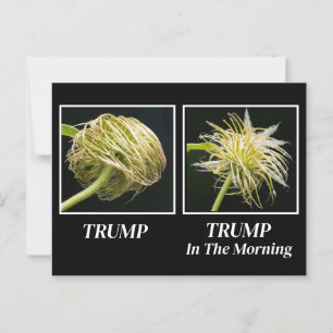 Carte Postale Trump Hair