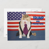 Carte postale Trump Kitty (Devant / Derrière)