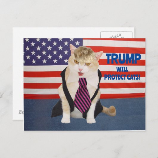 Carte postale Trump Kitty (Devant / Derrière)