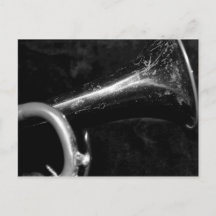 Trumpet Bell noir et blanc