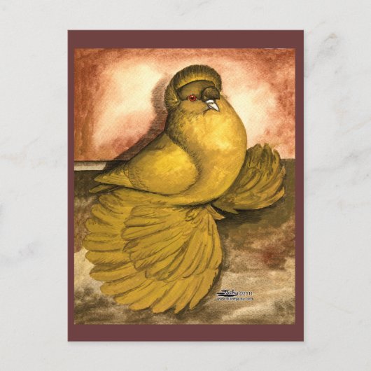 Carte Postale Trumpeter Pigeon (Devant)