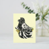 Carte Postale Trumpeter Pigeon Dark Splash (Debout devant)