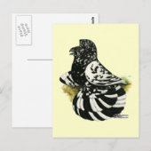 Carte Postale Trumpeter Pigeon Dark Splash (Devant / Derrière)