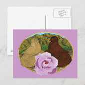 Carte Postale Trumpeter Pigeons et Rose (Devant / Derrière)