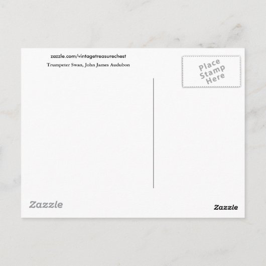 Carte Postale Trumpeter Swan, John James Audubon Fine Art (Dos)