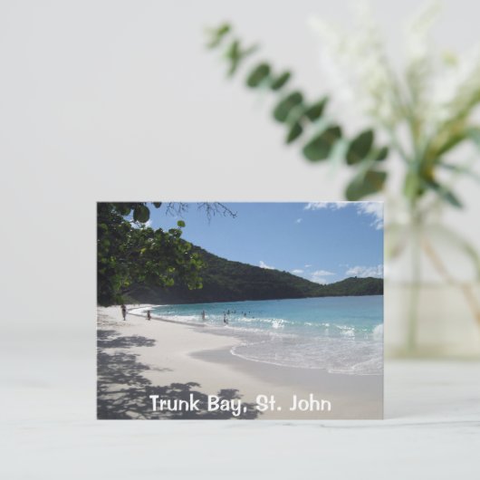 Carte Postale Trunk Bay, St. John (Debout devant)