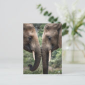 Carte Postale "Trunk to Trunk : A Gentle Elephant Embrasser" (Debout devant)