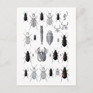 Carte Postale Truppe von alien