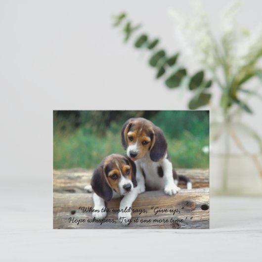 Carte Postale Try it one more time. (Debout devant)