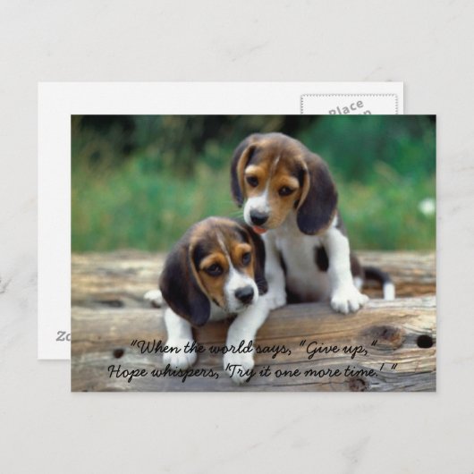 Carte Postale Try it one more time. (Devant / Derrière)