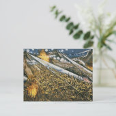 Carte Postale Tsingtao (Debout devant)