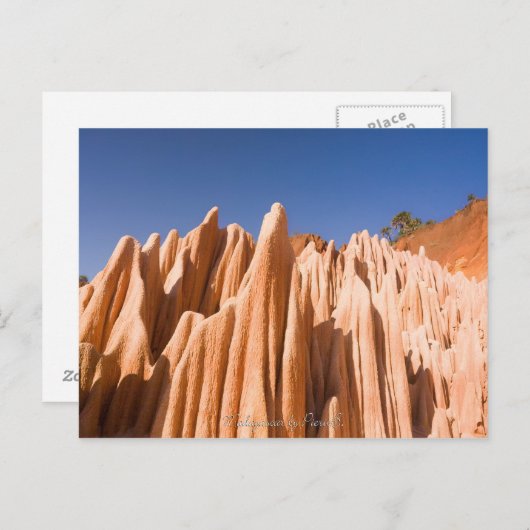 Carte Postale Tsingy rouge de Madagascar (Devant / Derrière)