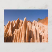 Carte Postale Tsingy rouge de Madagascar (Devant)