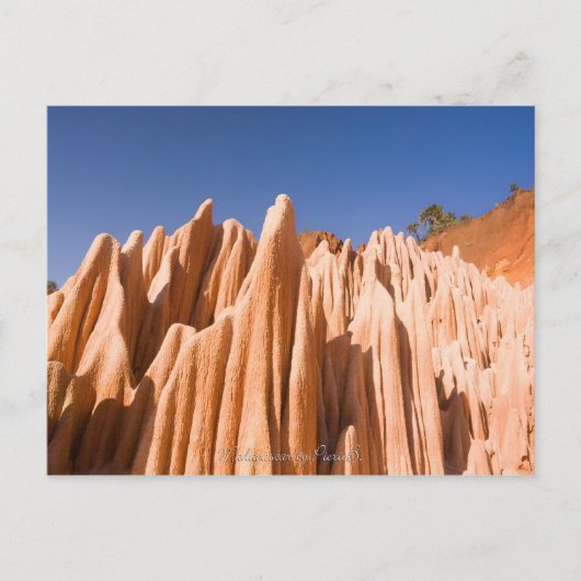 Carte Postale Tsingy rouge de Madagascar (Devant)