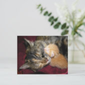 Carte Postale Tu aimes maman (Debout devant)