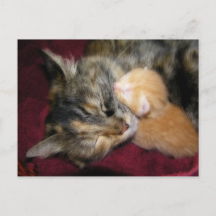 Carte Postale Tu aimes maman