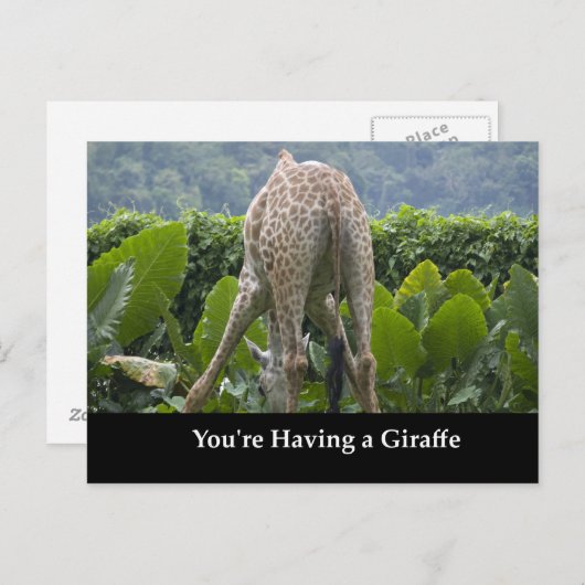 Carte Postale Tu as une girafe ! (Devant / Derrière)