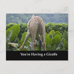 Carte Postale Tu as une girafe !