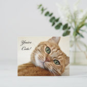 Carte Postale Tu es mignonne ! (Debout devant)