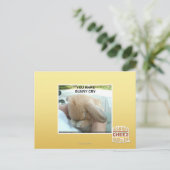 Carte Postale Tu fais pleurer le lapin (Debout devant)