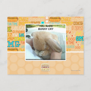 Carte Postale Tu fais pleurer le lapin