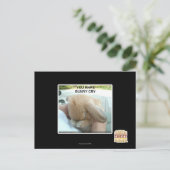 Carte Postale Tu fais pleurer le lapin (Debout devant)