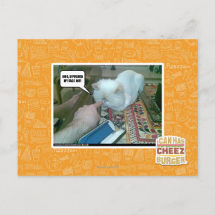 Carte Postale Tu m'as fait entrer le visage !