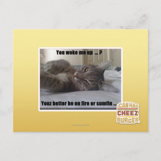 Carte Postale Tu m'as réveillé (Devant)